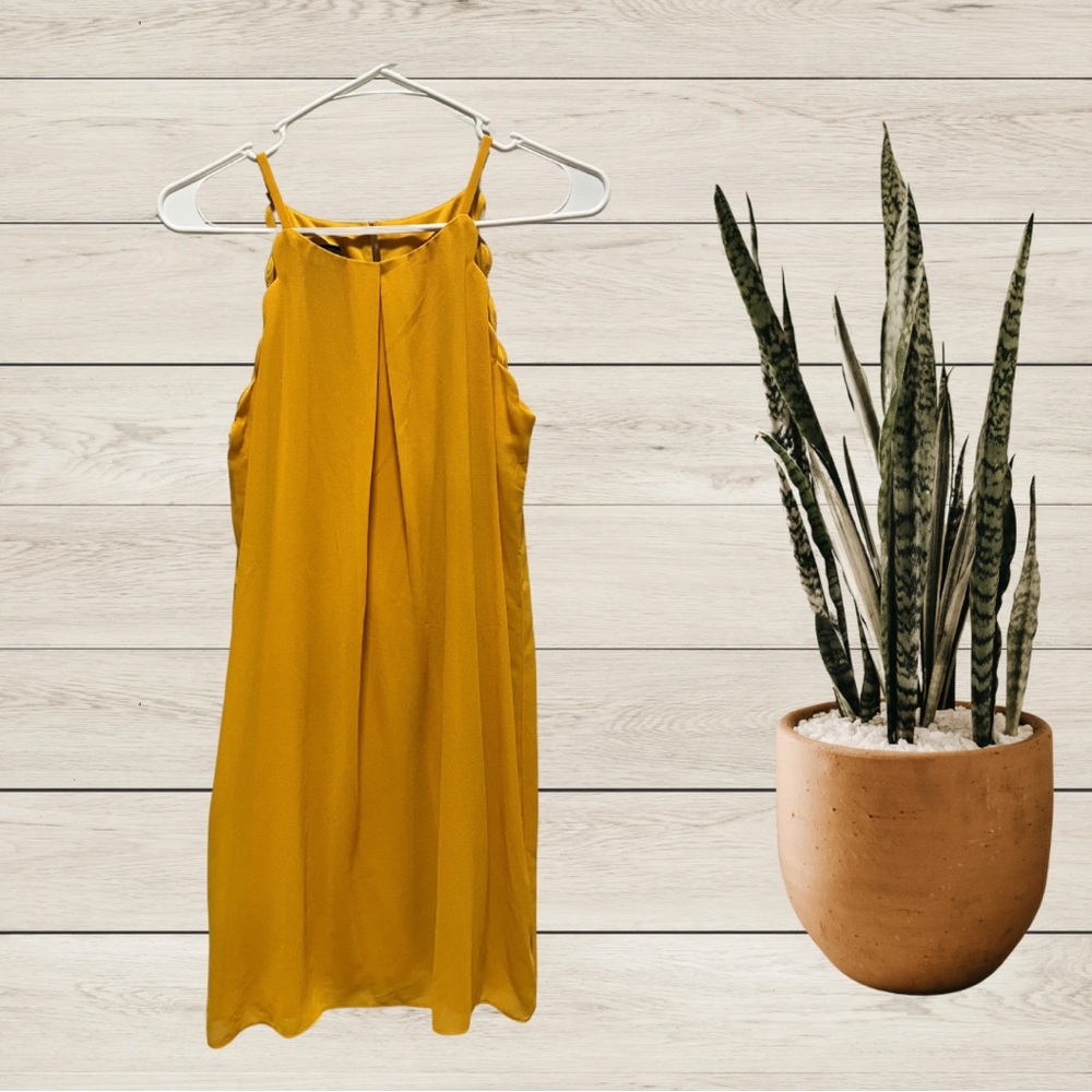 BCX Women’s Dress